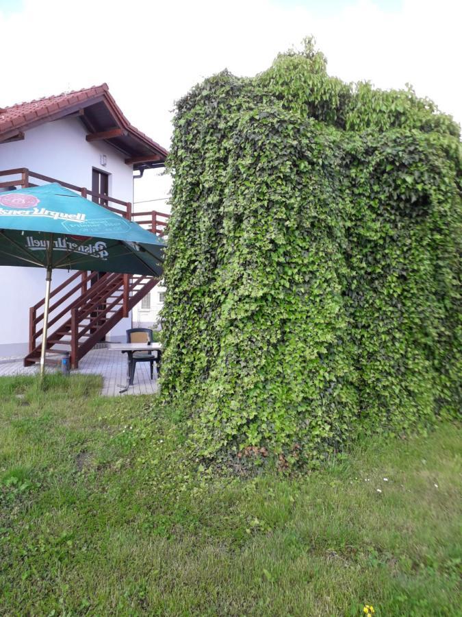 Penzion A Restaurace U Strnada Klatovy Zewnętrze zdjęcie